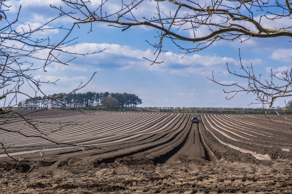 Field in Nottinghamshire (c) Sam Turley (rspb-images.com)