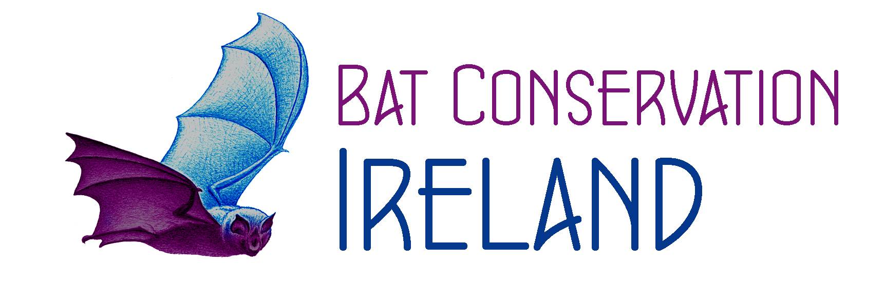 Bat Conservation Ireland
